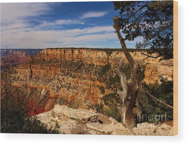  Canyon Wood Print featuring the photograph Grand Canyon Golden Rocks by Christiane Schulze Art And Photography