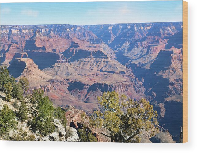 Scenics Wood Print featuring the photograph Grand Canyon National Park by Kingwu