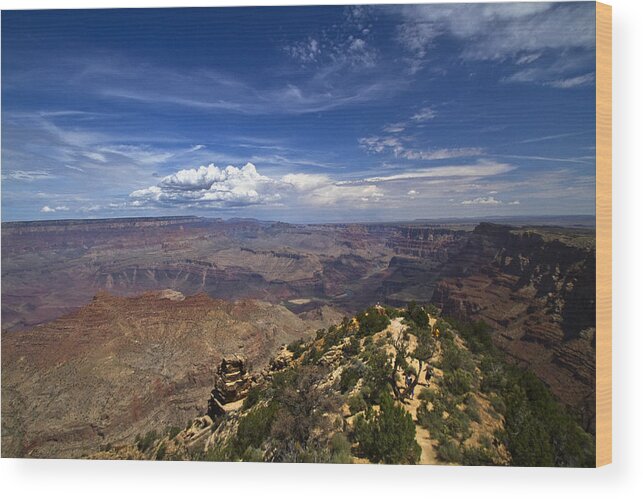 Summertime Wood Print featuring the photograph Grand Canyon Splendor by Tom Kelly