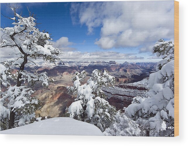 Grand Canyon Wood Print featuring the photograph Grand Canyon Winter - 1 by Paul Riedinger