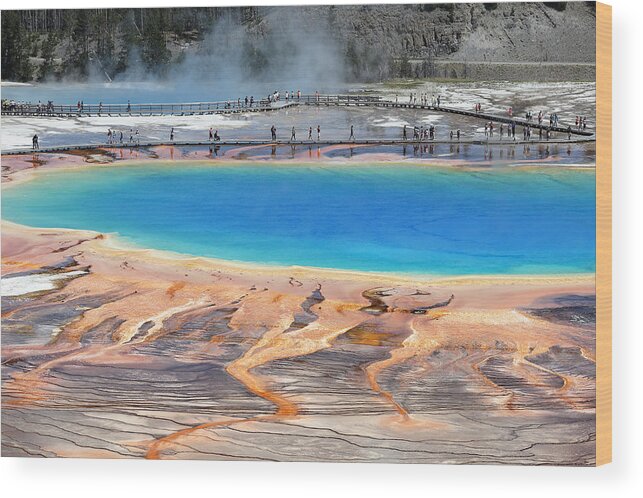 Tranquility Wood Print featuring the photograph Grand Prismatic by Lv Photography