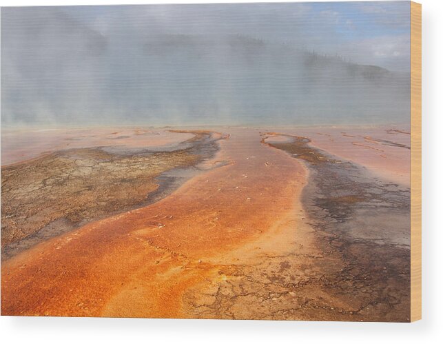 Grand Prismatic Pool Wood Print featuring the photograph Grand Prismatic Pool by Theo OConnor