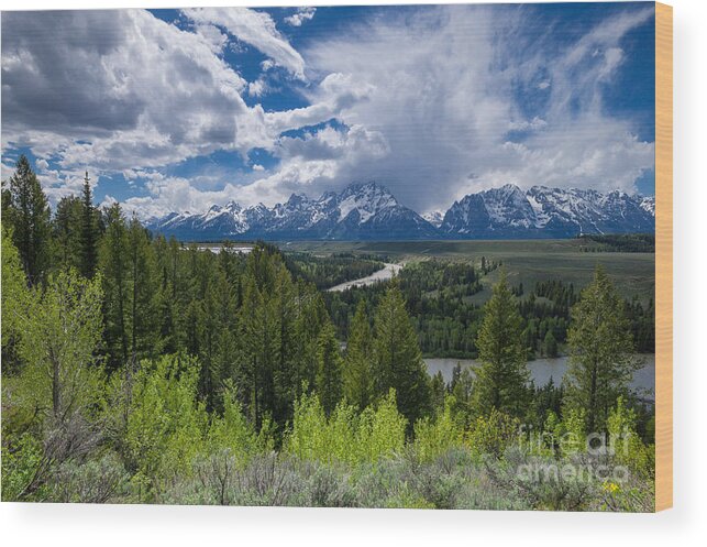 Grand Teton Wood Print featuring the photograph Grand Teton NP by Juergen Klust