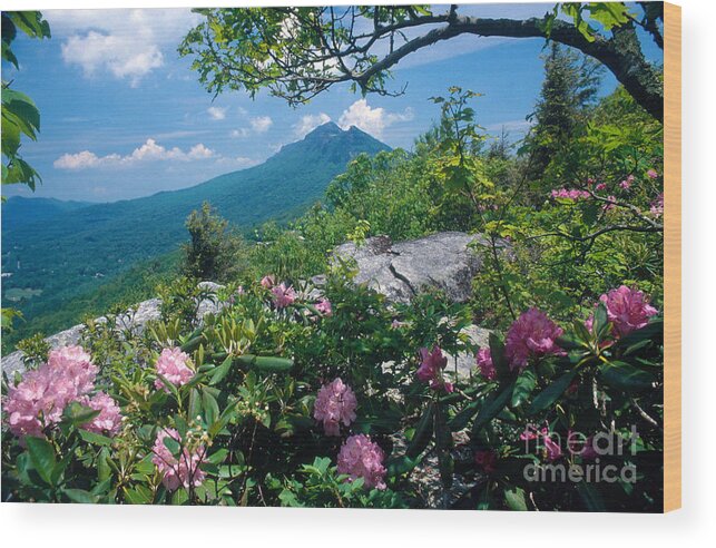 Grandfather Mountain Wood Print featuring the photograph Grandfather Mountain by Bruce Roberts