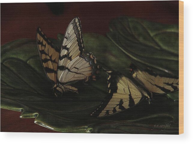 Butterfly Wood Print featuring the photograph Grandma's Attic by Yvonne Wright