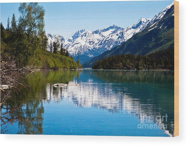 Alaska Wood Print featuring the photograph Grant Lake by Chris Heitstuman