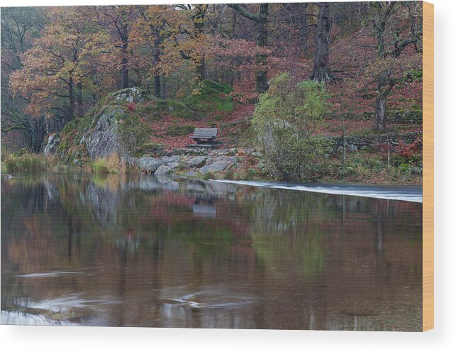 Grasmere Wood Print featuring the photograph Grasmere Reflections by Nick Atkin