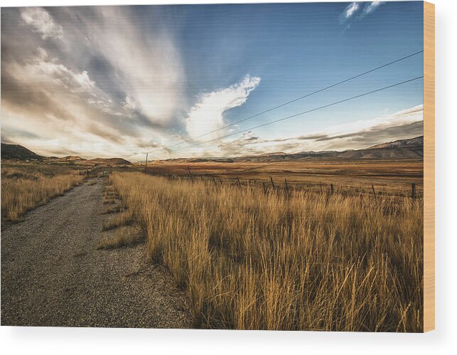 Road Wood Print featuring the photograph Grass Growing Along A Gravel Road by Marg Wood