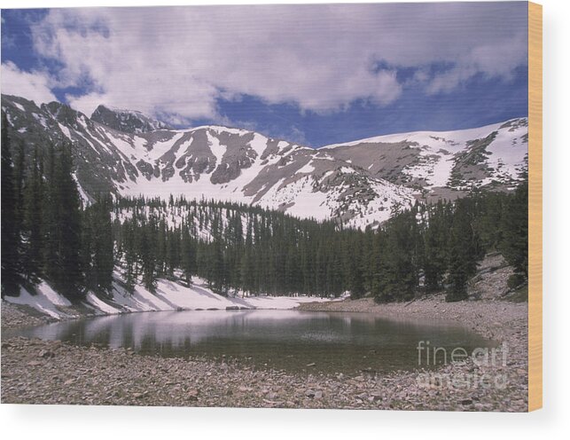 Great Basin National Park Wood Print featuring the photograph Great Basin National Park by Mark Newman