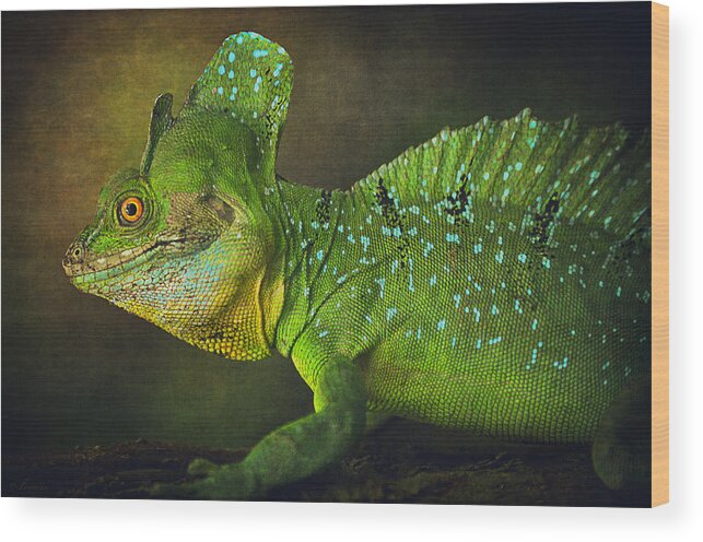 Lizard Wood Print featuring the photograph Green Basilisk by Maria Angelica Maira