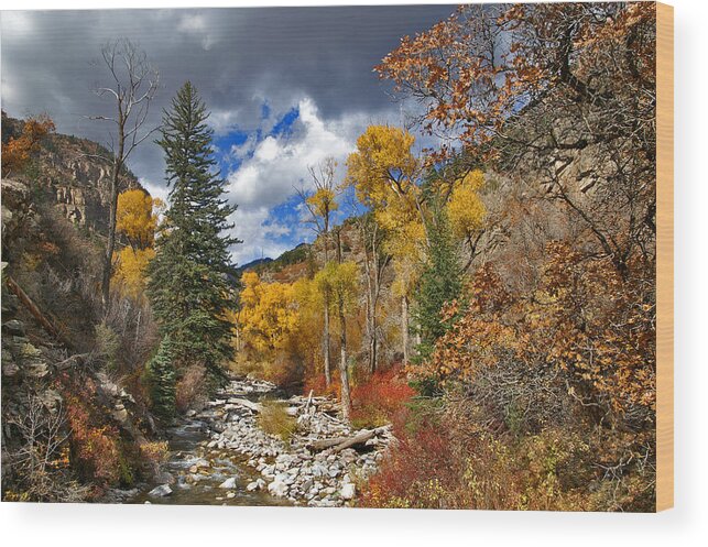 Glenwood Canyon Wood Print featuring the photograph Grizzly Creek Cottonwoods by Jeremy Rhoades