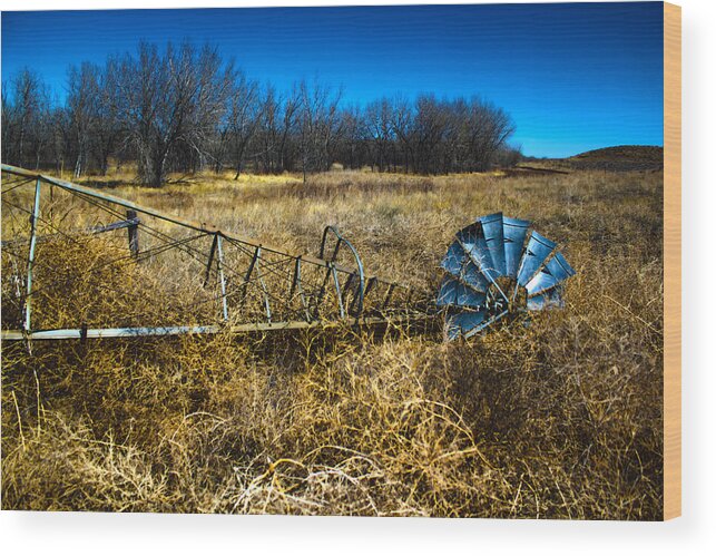 Windmill Wood Print featuring the photograph Grounded-HDR by Shane Bechler