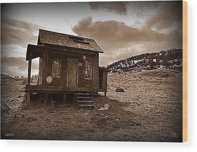 Gunless Wood Print featuring the photograph Gunless 014 s by Guy Hoffman