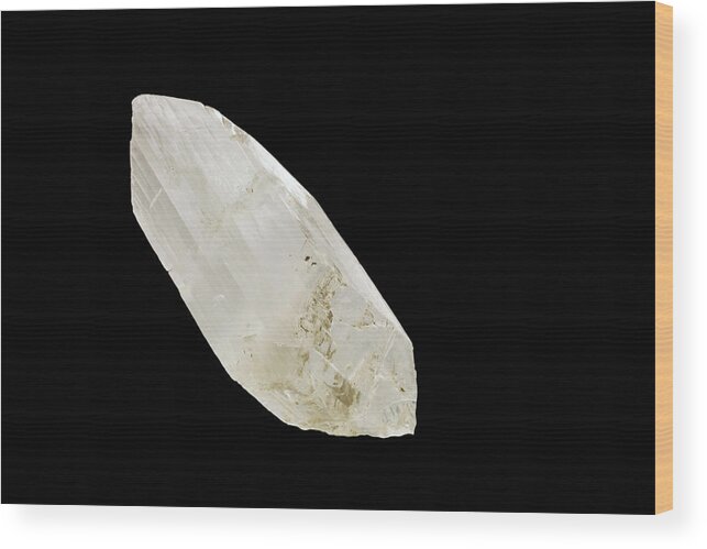 Gypsum Wood Print featuring the photograph Gypsum Crystal by Science Stock Photography