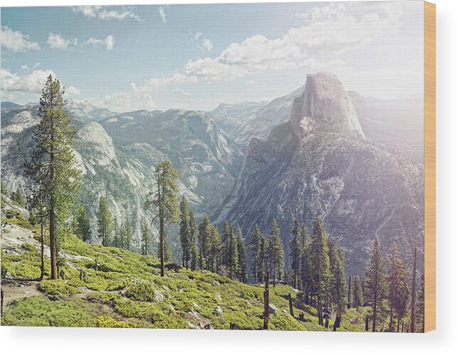 Scenics Wood Print featuring the photograph Half Dome In Yosemite With Foreground by James O'neil