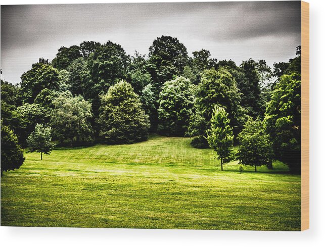 Hampstead Heath Wood Print featuring the photograph Hampstead Heath Greens by Lenny Carter