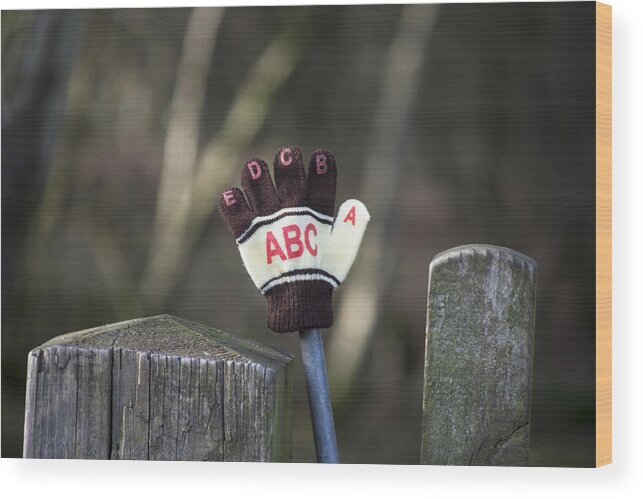 Glove Wood Print featuring the photograph Handy by Spikey Mouse Photography