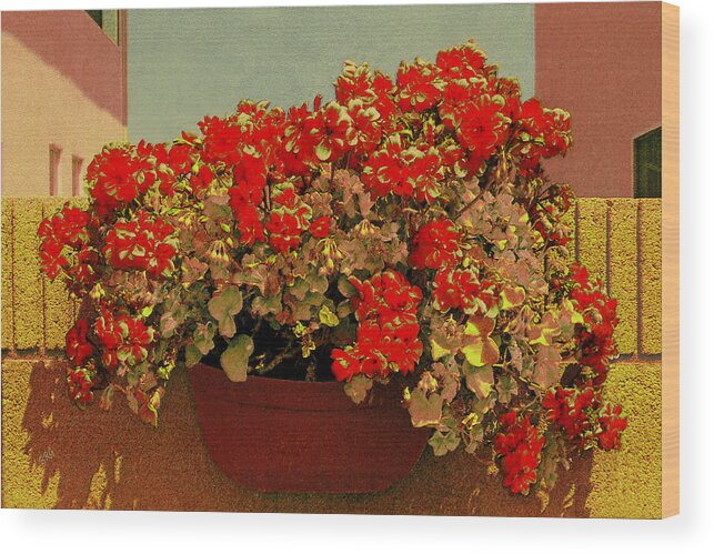 Floral Still Life Wood Print featuring the photograph Hanging Pot With Geranium by Ben and Raisa Gertsberg