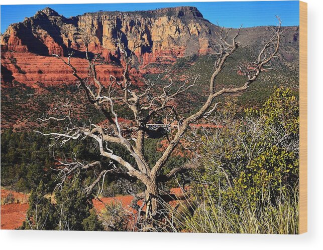 Arizona Wood Print featuring the photograph Hangover Trail by Walt Sterneman