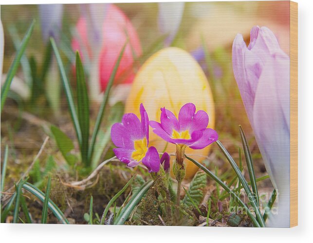 Easter Wood Print featuring the photograph Happy Easter by Christine Sponchia