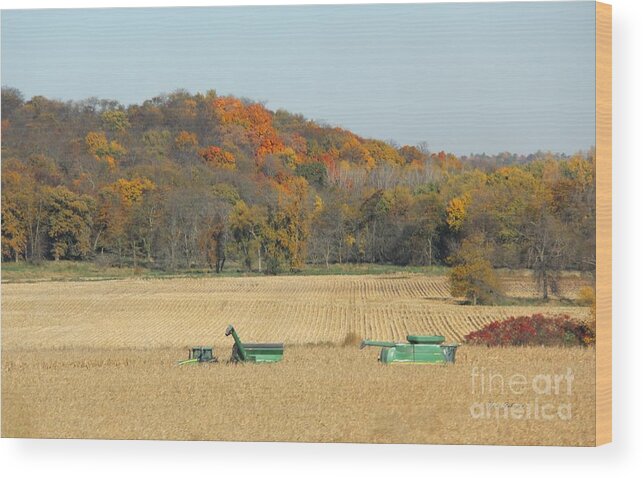 Farmland Wood Print featuring the photograph Harvesting Iowa corn by Yumi Johnson