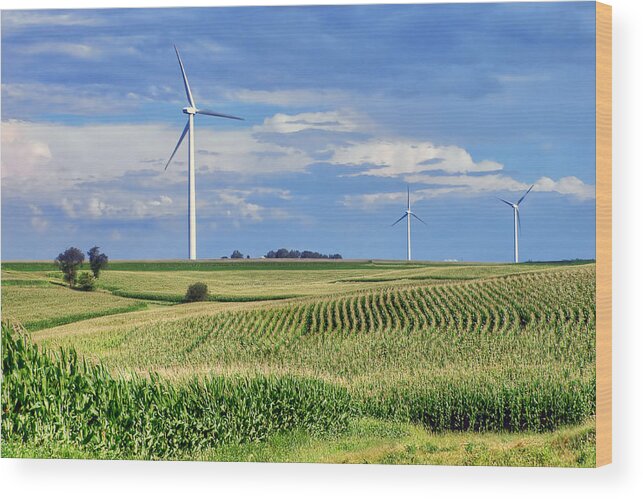 Agriculture Wood Print featuring the photograph Harvests by Nikolyn McDonald