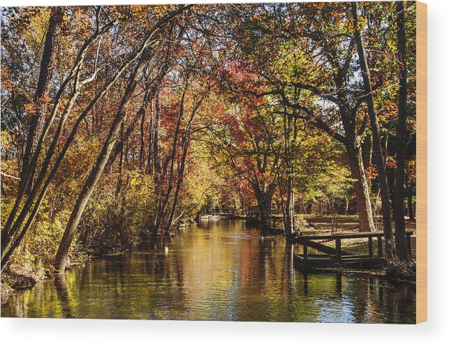 Park Wood Print featuring the photograph Hatchery in Autumn by Cathy Kovarik