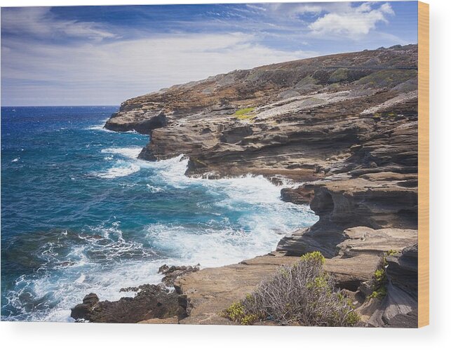 Hawaii Wood Print featuring the photograph Hawaiian Shore by Robert Davis