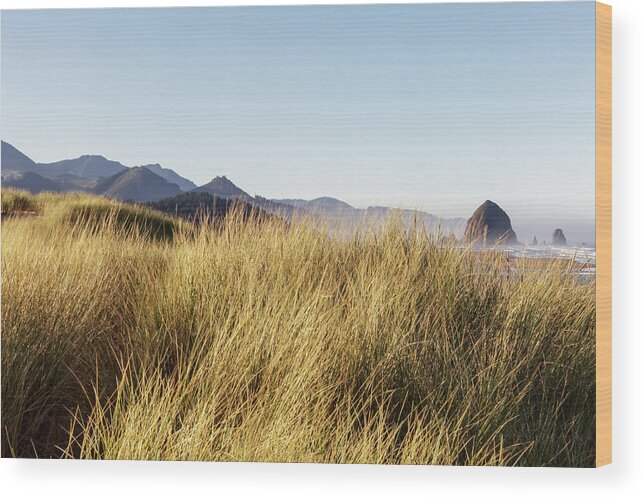 Scenics Wood Print featuring the photograph Haystack Rock Seen From Dunes by Sawaya Photography