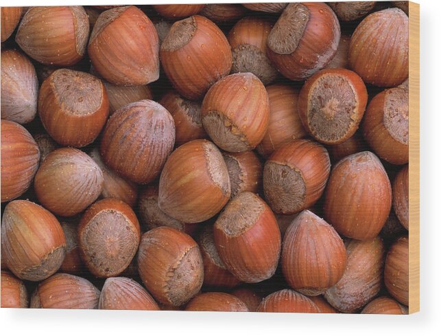 Mp Wood Print featuring the photograph Hazelnuts by Duncan Usher