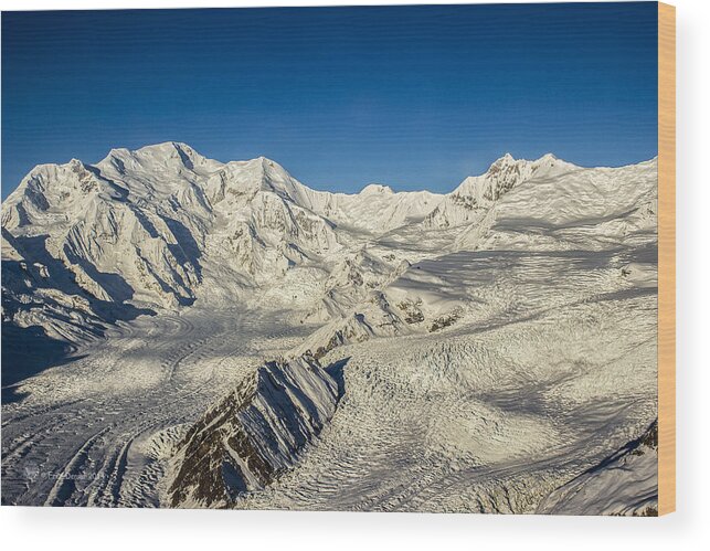 Alaska Wood Print featuring the photograph Head of the Kennicott Glacier by Fred Denner