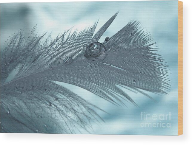 Feather Wood Print featuring the photograph Healing Begins by Krissy Katsimbras