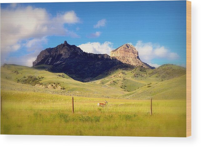 Heart Mountain Wood Print featuring the photograph Heart Mountain And Friend by Lisa Holland-Gillem