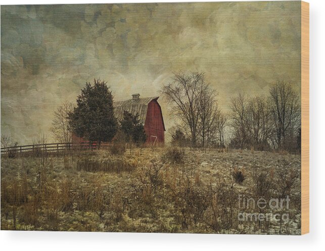 Heart Wood Print featuring the photograph Heart of the Farm by Terry Rowe
