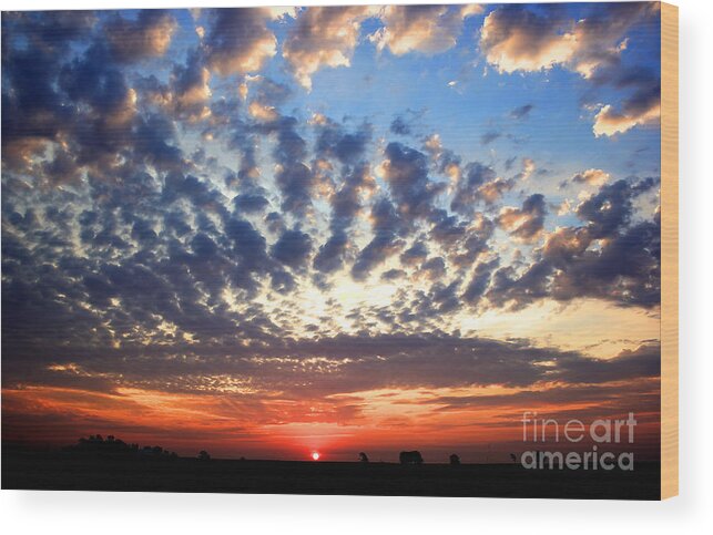 Sunrise Wood Print featuring the photograph Heartland Sunrise by Thomas Danilovich
