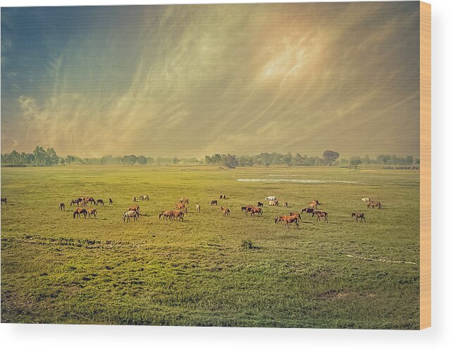Number Wood Print featuring the digital art Heat n Dust - Indian Countryside by Sarah Sever