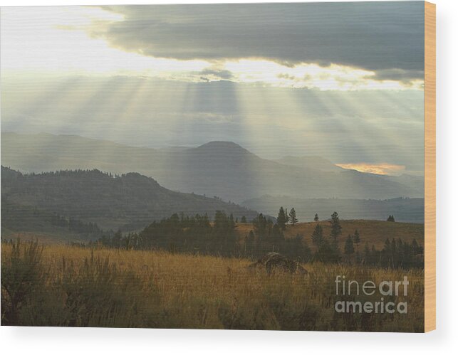 Rays Wood Print featuring the photograph Heaven On Earth by Bill Singleton