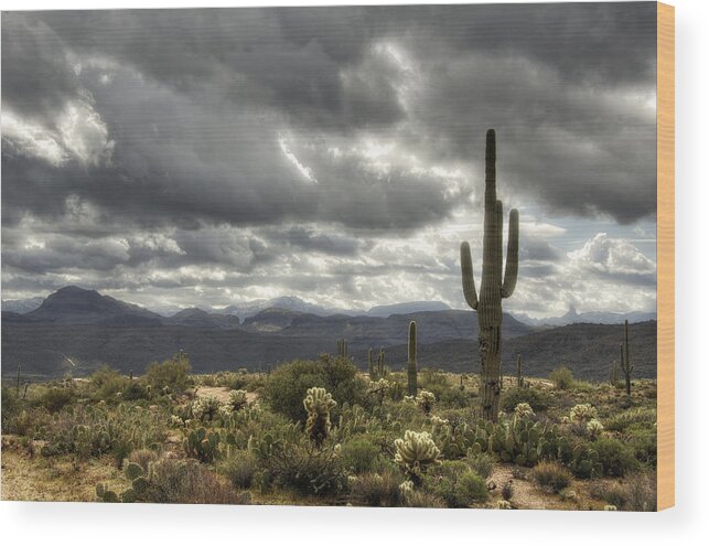 Arizona Wood Print featuring the photograph Heavenly Desert Skies by Saija Lehtonen