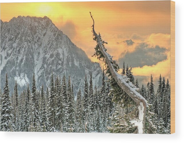 Mountain Viewsunset Snowevergreens Wood Print featuring the photograph Heavenly by Jeff Cook