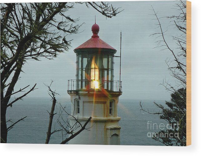  Beacon Wood Print featuring the photograph Heceta Head Lighthouse by Nick Boren