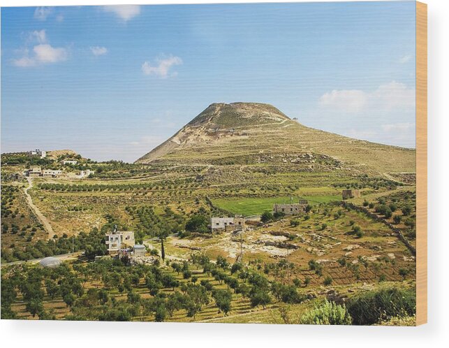Israel Wood Print featuring the photograph Herodion Man-made Hill by Photostock-israel