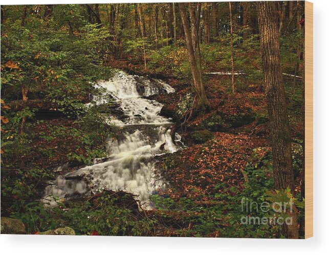 Landscape Wood Print featuring the photograph Hidden Waterfall by Marcia Lee Jones