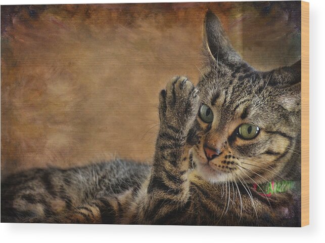 Cats Wood Print featuring the photograph High Five by Barbara Manis