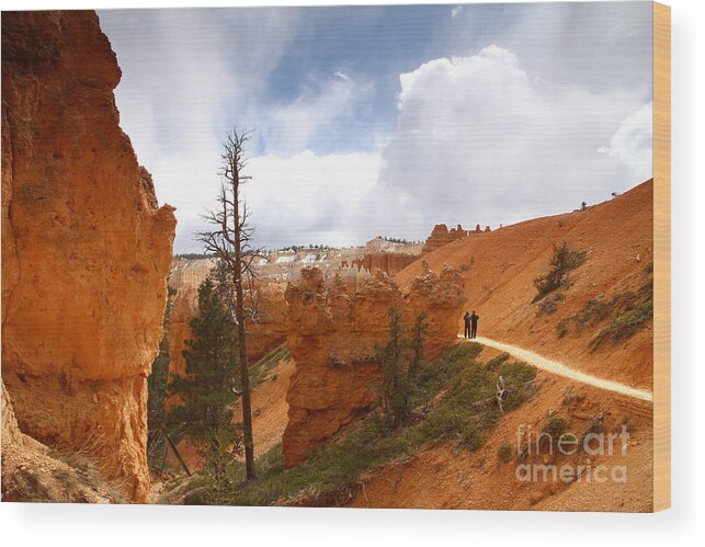Bryce Canyon Wood Print featuring the photograph Hiking in Bryce Canyon by Butch Lombardi
