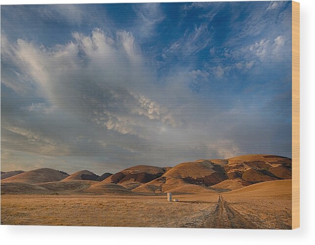 California Wood Print featuring the photograph Hills and Sky by Beth Sargent