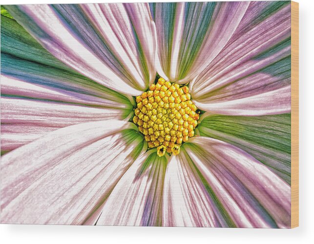 Pastel Wood Print featuring the photograph Hippie Petals by Bill and Linda Tiepelman