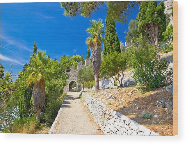 Hvar Wood Print featuring the photograph Historic Hvar fortification wall in nature by Brch Photography