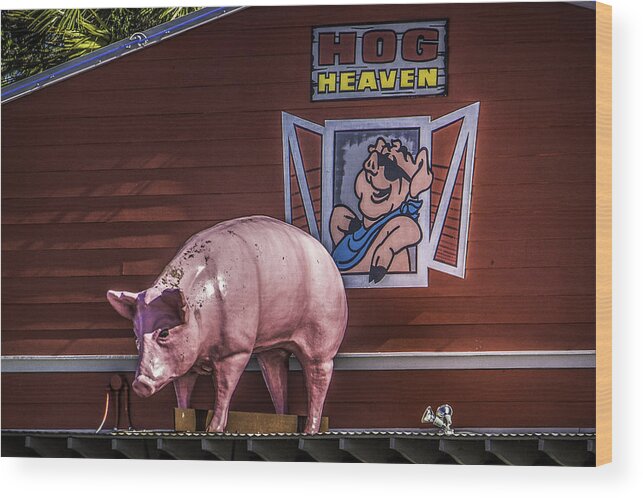 Pig Wood Print featuring the photograph Hog Heaven by Brian Wright
