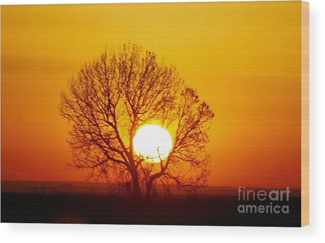 Landscape Wood Print featuring the photograph Holding the Sun by Steven Reed