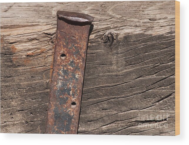 Macro Wood Print featuring the photograph Holding Up by Dan Holm